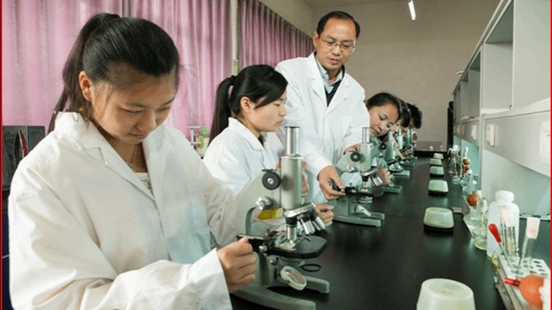 国产药用辅料市场排名背后的秘密