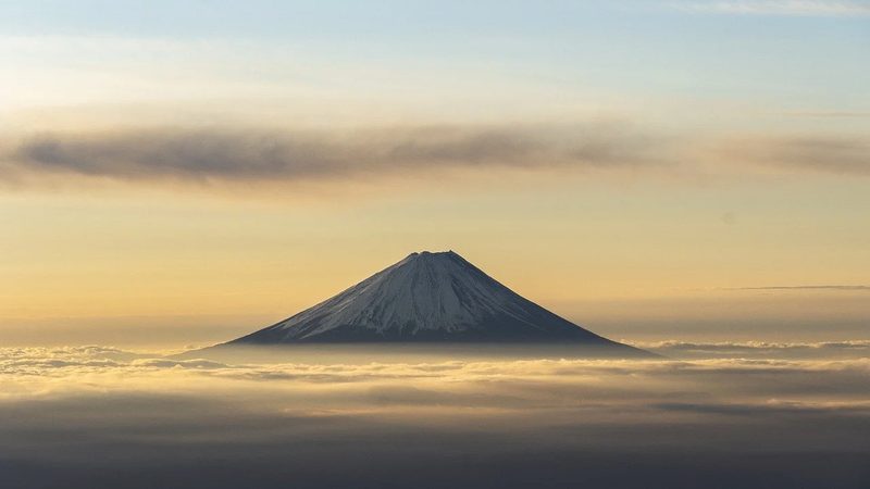 中药材炖汤搭配方法禁忌