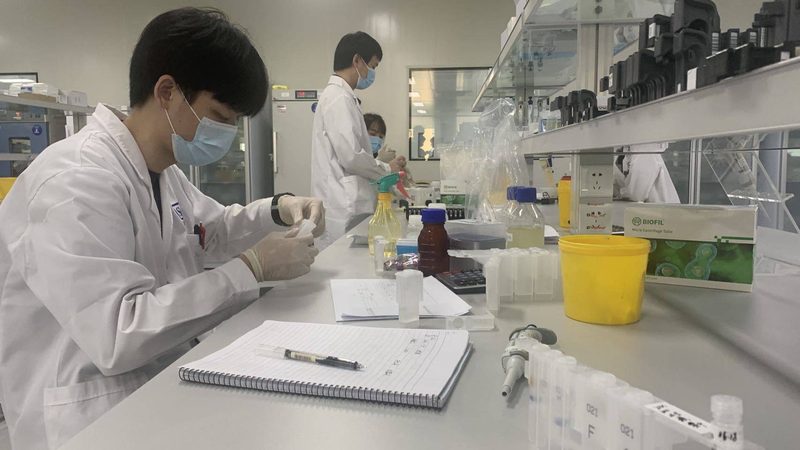 广州空心胶囊储存厂家：如何确保产品质量与合规性**
