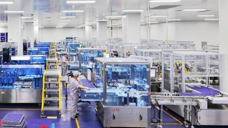 药品分类解析：医药公司批发药品的奥秘**